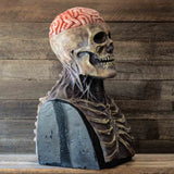 https://cardio-shop.com/