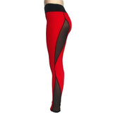 https://fitness-cardio-shop.com/collections/nos-suggestion