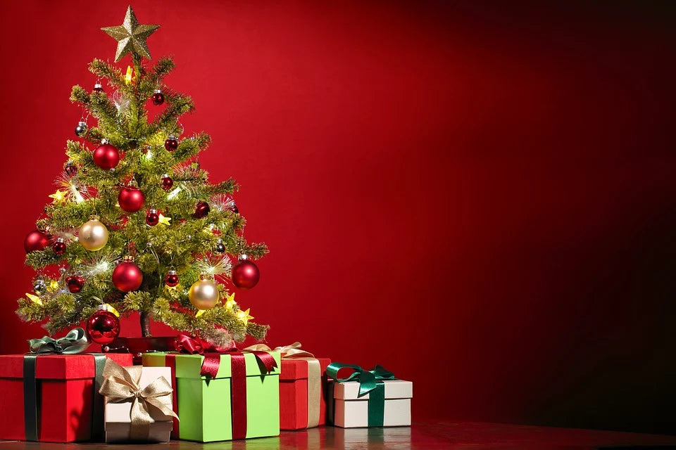 Quelle est l'origine du mot Noël ?